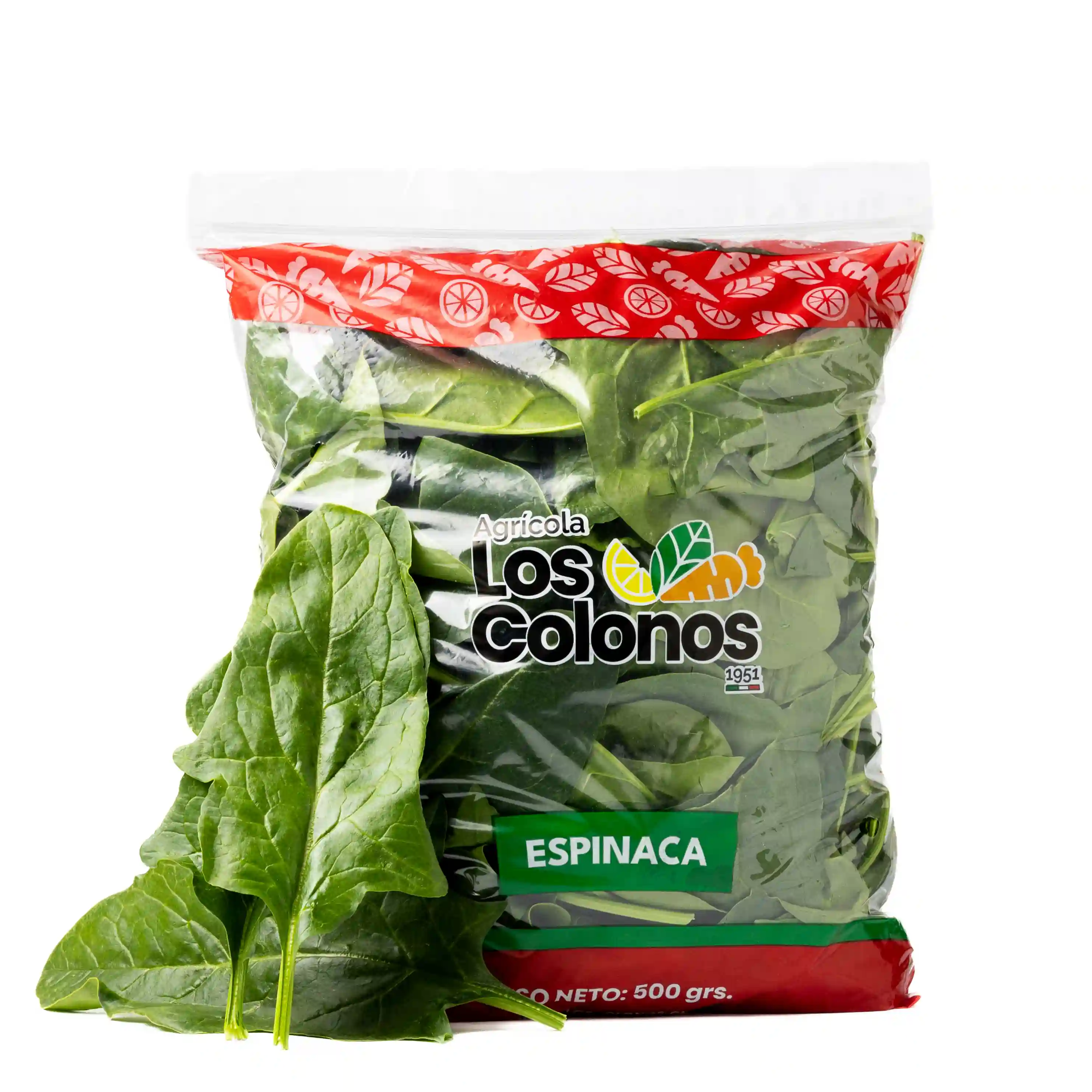Espinaca