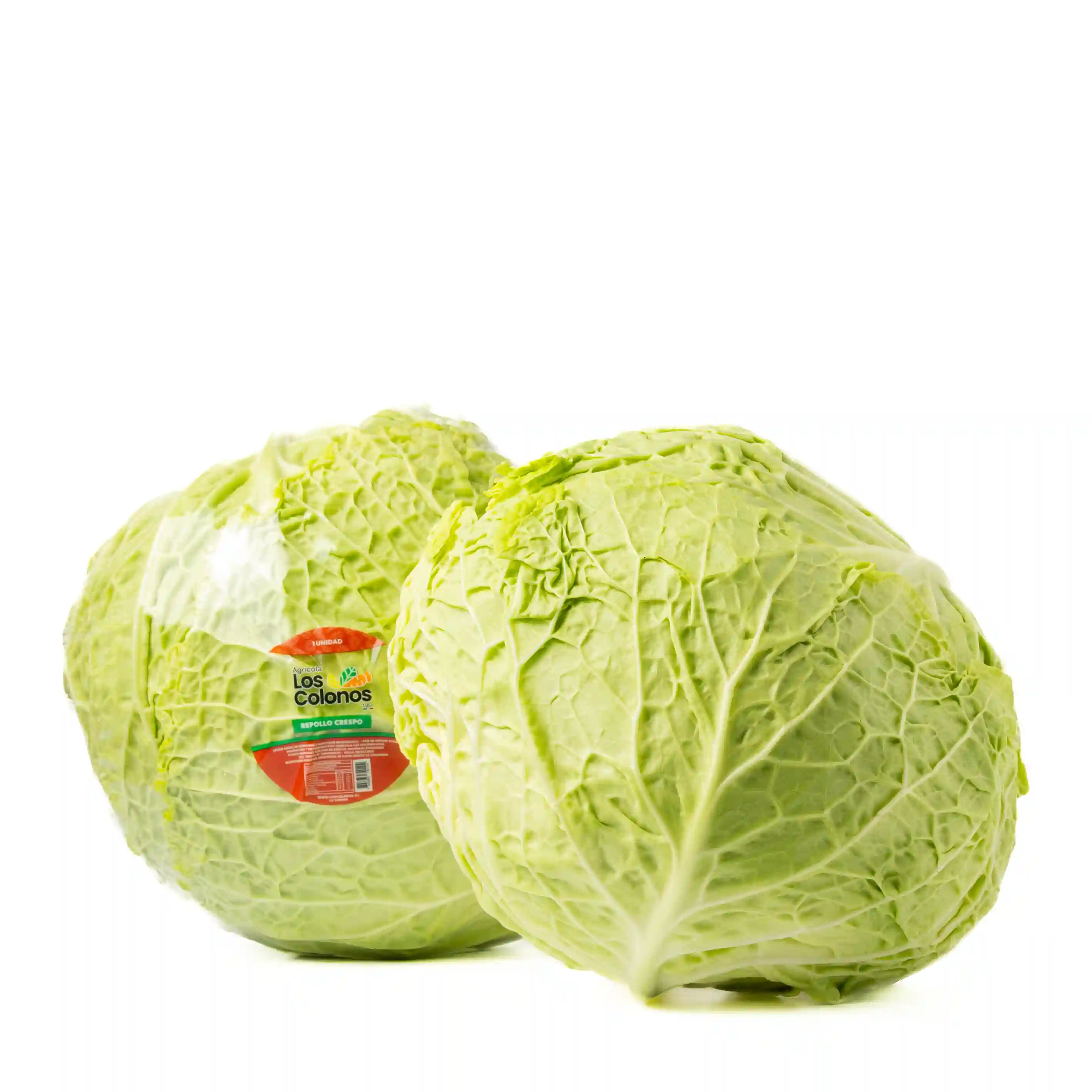 Repollo Crespo